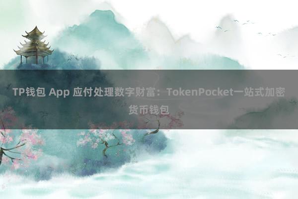 TP钱包 App 应付处理数字财富：TokenPocket一站式加密货币钱包