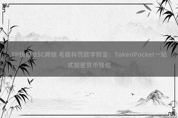 TP钱包 BSC跨链 毛糙科罚数字财富：TokenPocket一站式加密货币钱包